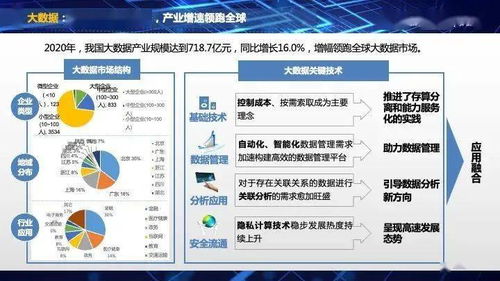 《2021中國(guó)互聯(lián)網(wǎng)發(fā)展報(bào)告》發(fā)布 互聯(lián)網(wǎng)數(shù)據(jù)服務(wù)迎來新機(jī)遇